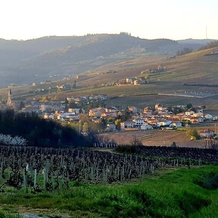 Au Coeur Des Vignes Chenas Du Beaujolais Lejlighed La Chapelle-de-Guinchay Eksteriør billede